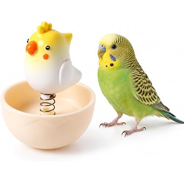 Amazon.co.jp 最新リリース: 鳥用おもちゃ の新着ランキングです。